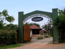 Imagen Entrada Jardín Botánico